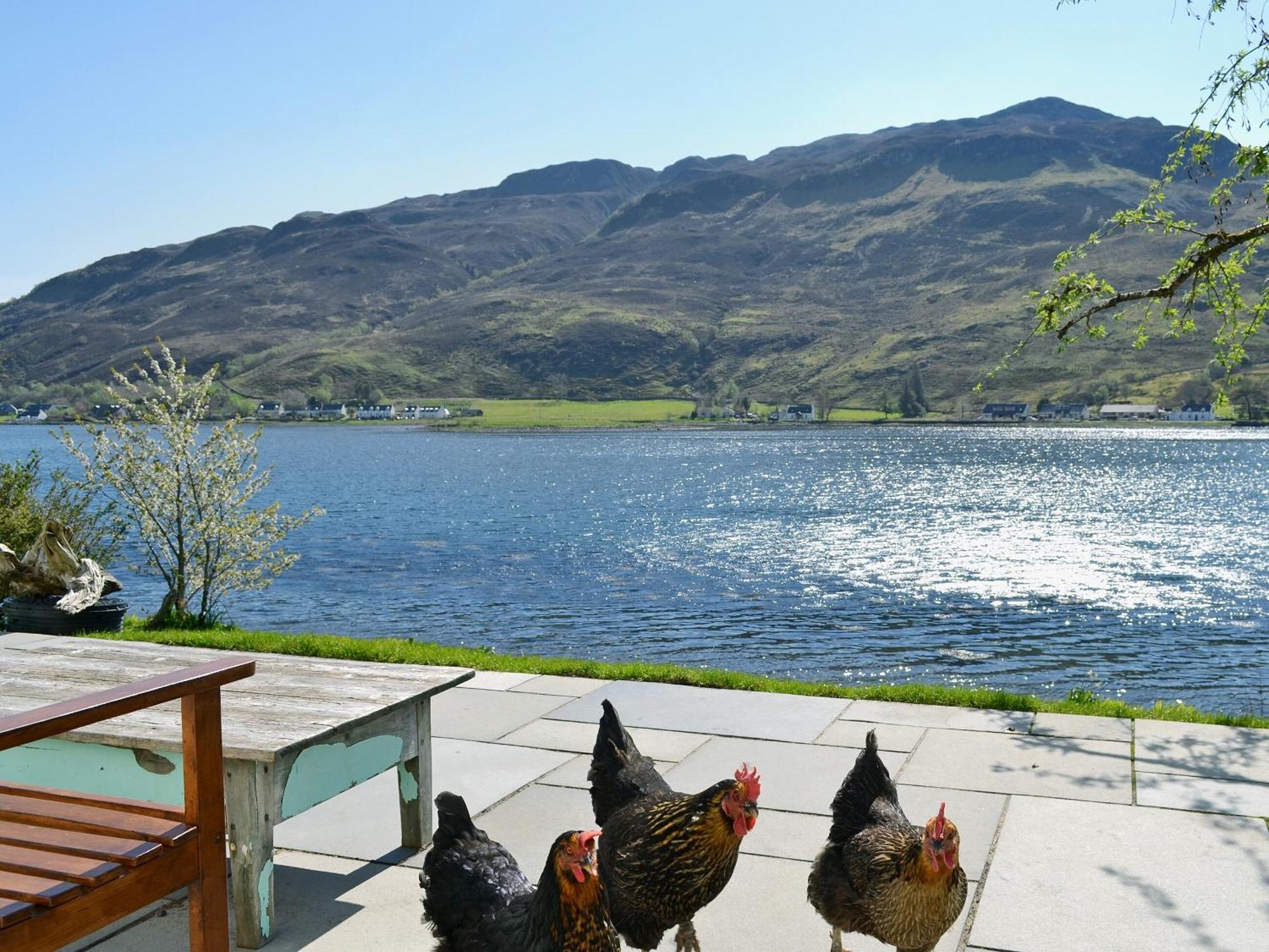 Loch Shore Cottage دورني المظهر الخارجي الصورة